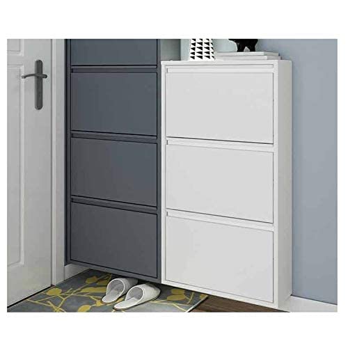GGGUOJINN Fashion Shoe Cabinets Stand Modern Simple Portal Point Steel Hall Simple and Economical Dump Cabinet Corridor Storage Shoe Cabinet Shoe Changing Stool