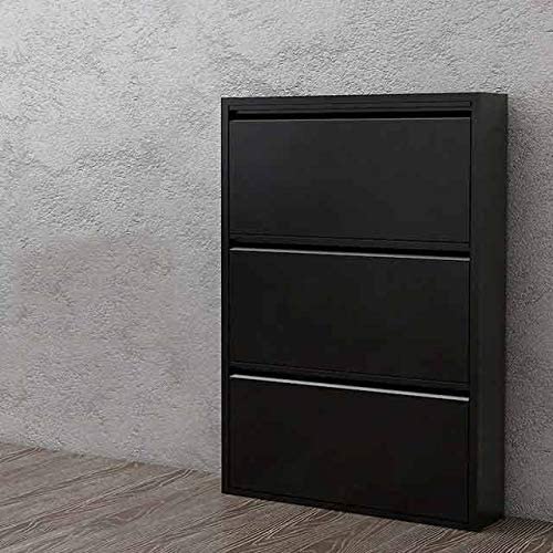 GGGUOJINN Fashion Shoe Cabinets Stand Modern Simple Portal Point Steel Hall Simple and Economical Dump Cabinet Corridor Storage Shoe Cabinet Shoe Changing Stool